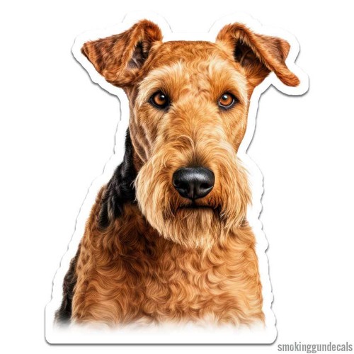 Airedale terrier vinyl - airedale,
