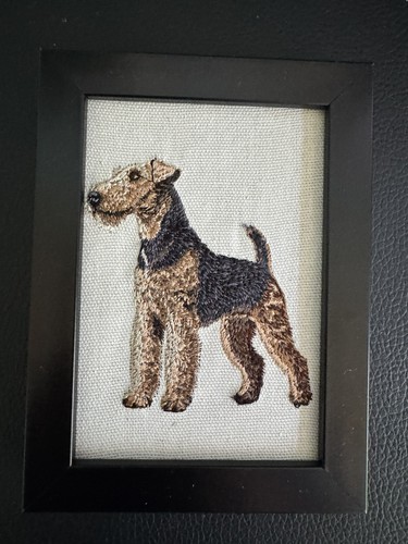 Airedale terrier dog breed - terrier,