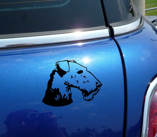 Airedale terrier head portrait - terrier,