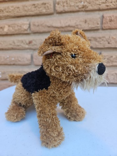 Douglas airedale terrier dog - airedale,