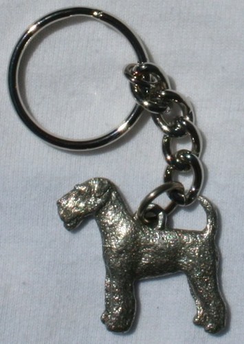 Airedale terrier dog fine - terrier,