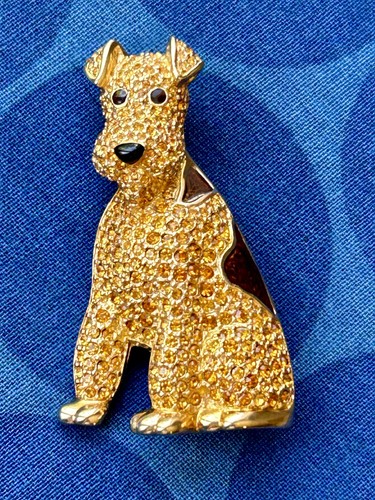 Airedale welsh terrier dog - terrier,